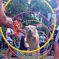 Ferienprogramm // Sommerferien 2021 // Pop-Up Playground mit Hund Yoyo in Rdelheim